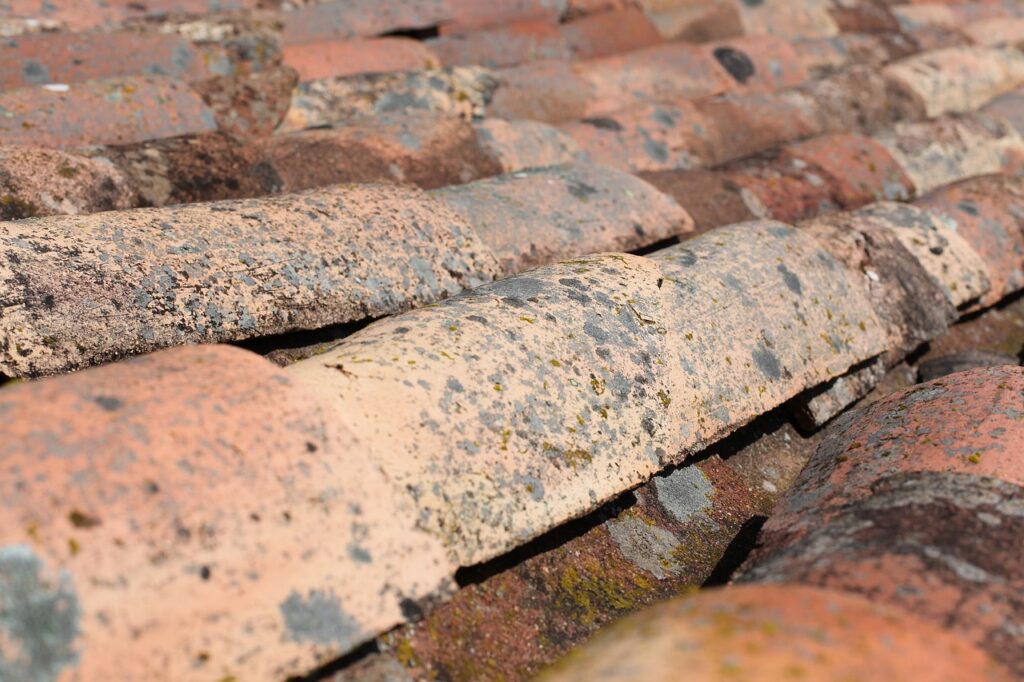 shingles, roof, house